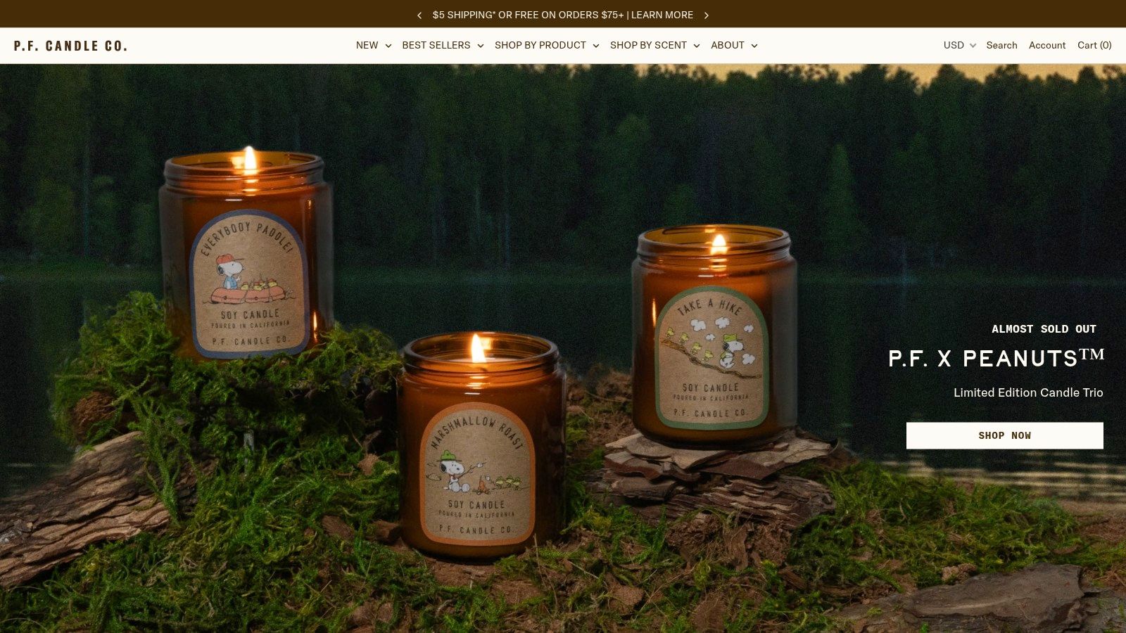 P.F. Candle Co. – Best Sellers (Indie/Clean Aesthetic)