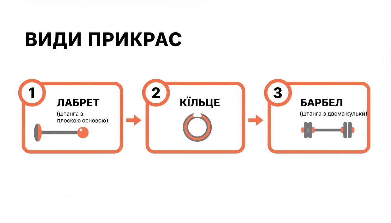 Інфографіка, що ілюструє три види прикрас для пірсингу: лабрет, кільце та барбел.