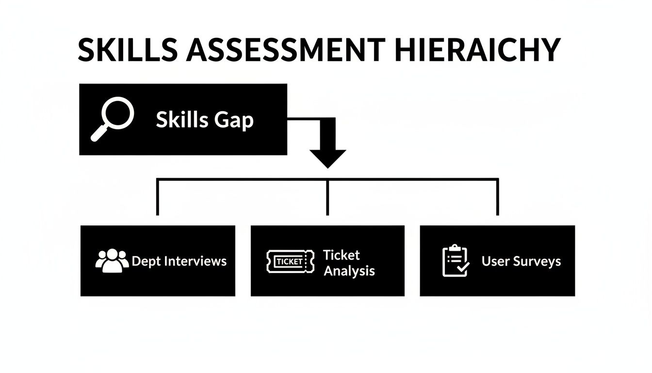 Hierarchy chart for skills assessment, detailing methods like interviews, ticket analysis, and surveys.