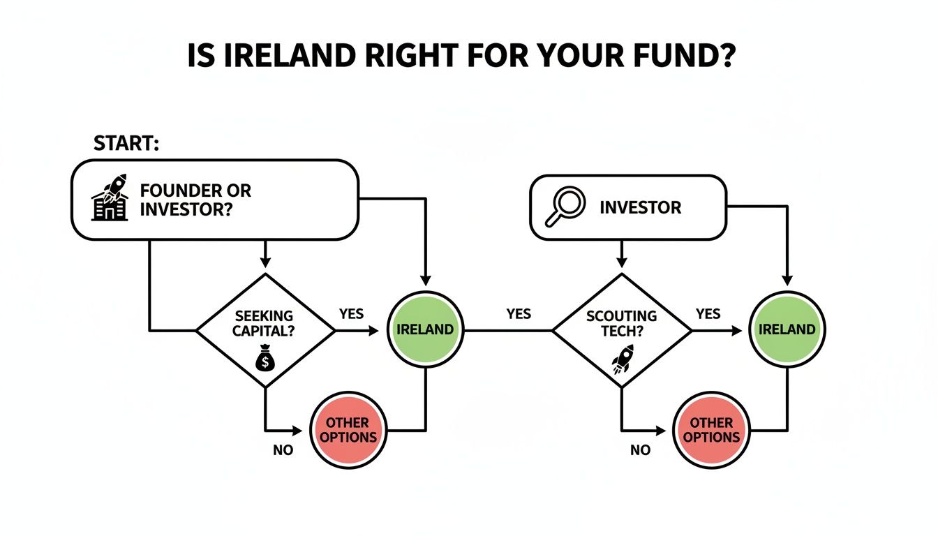 A flowchart answering 'Is Ireland right for your fund?' for founders and investors.