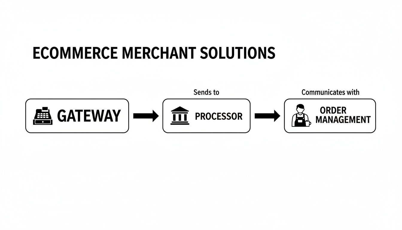 Flowchart illustrating ecommerce merchant solutions: Gateway sends to Processor, which communicates with Order Management.
