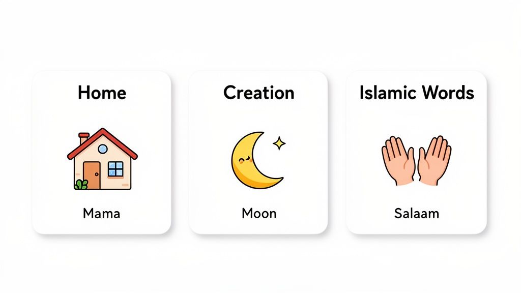 Three educational flashcards displaying categories Home, Creation, and Islamic Words with illustrations and text.