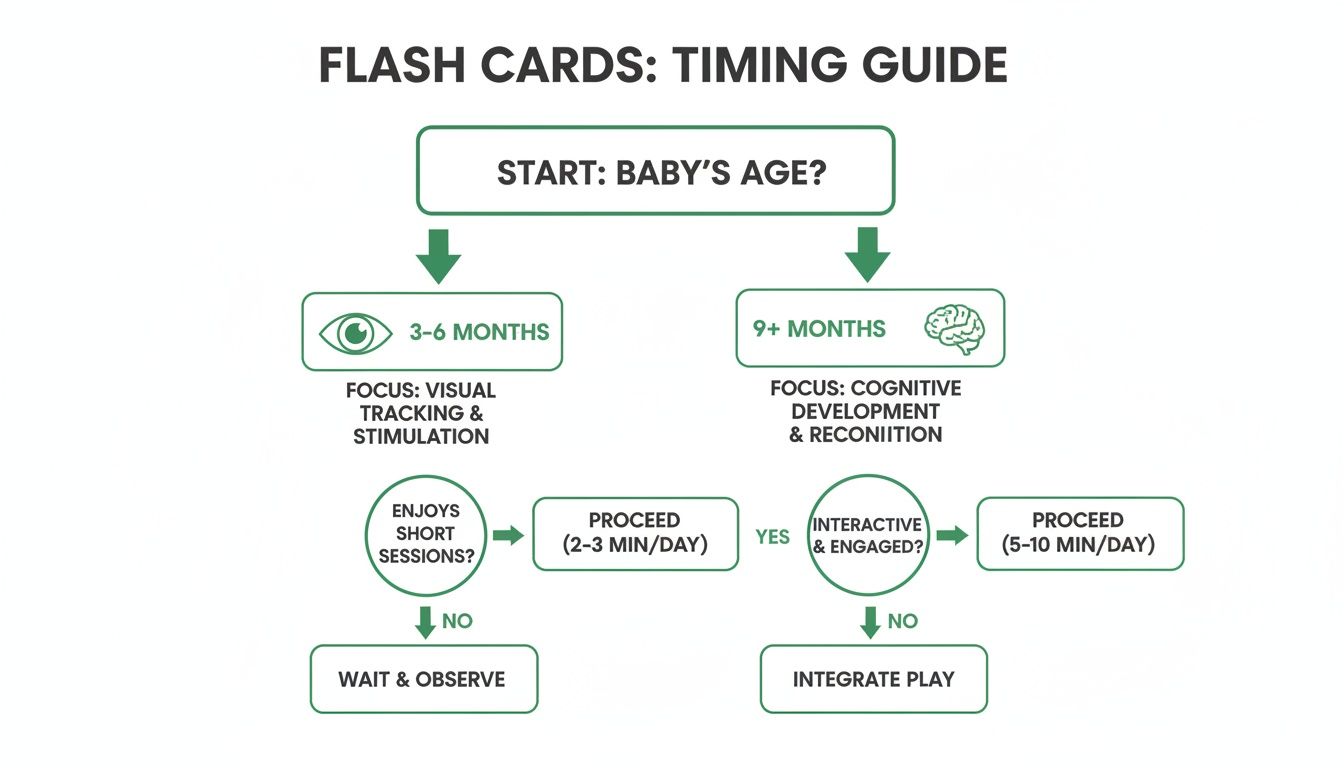 Flowchart illustrating flashcard timing guide for babies, showing age-appropriate focus and recommended session lengths.