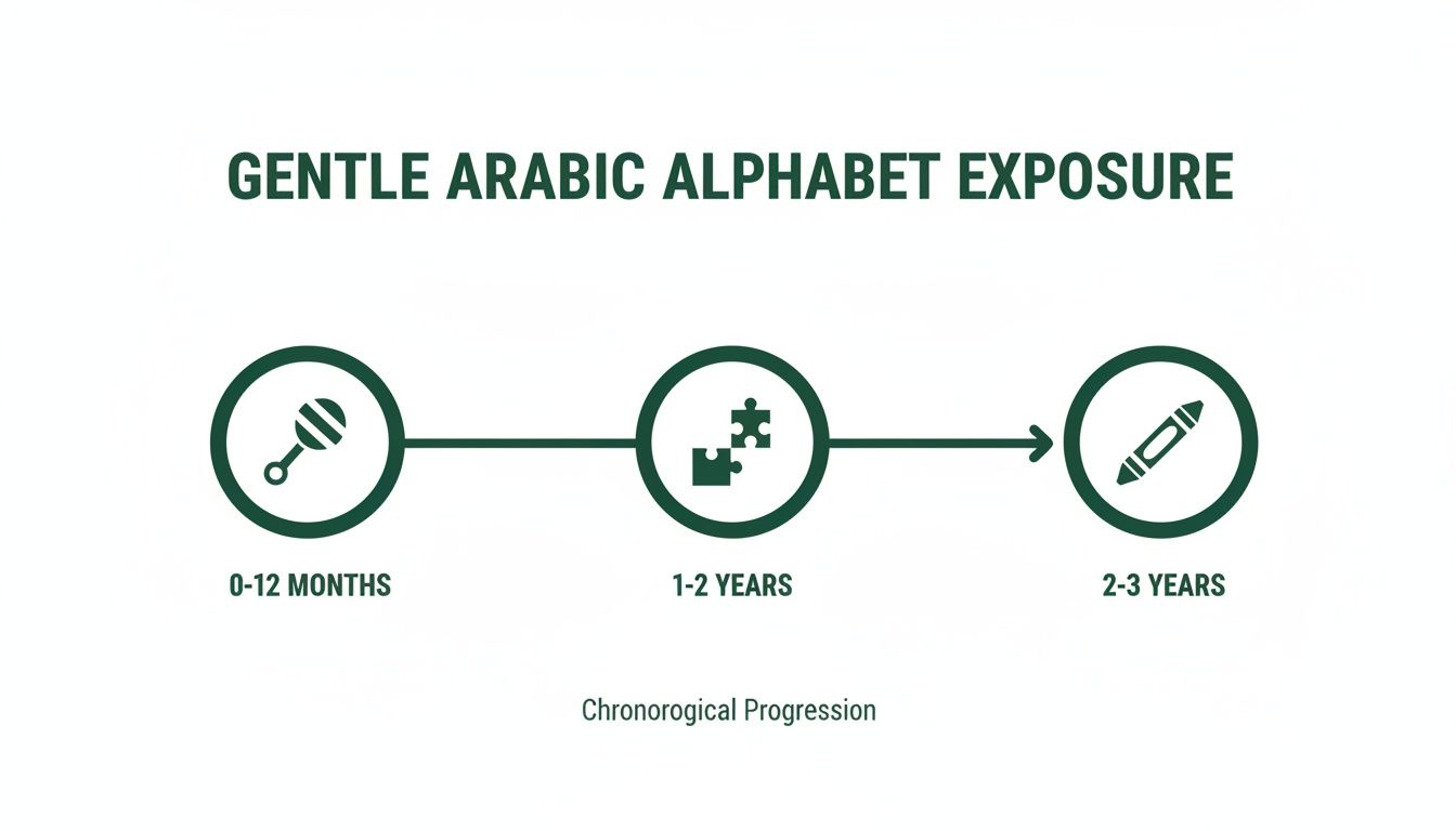 Chronological progression of gentle Arabic alphabet exposure for babies and toddlers by age.