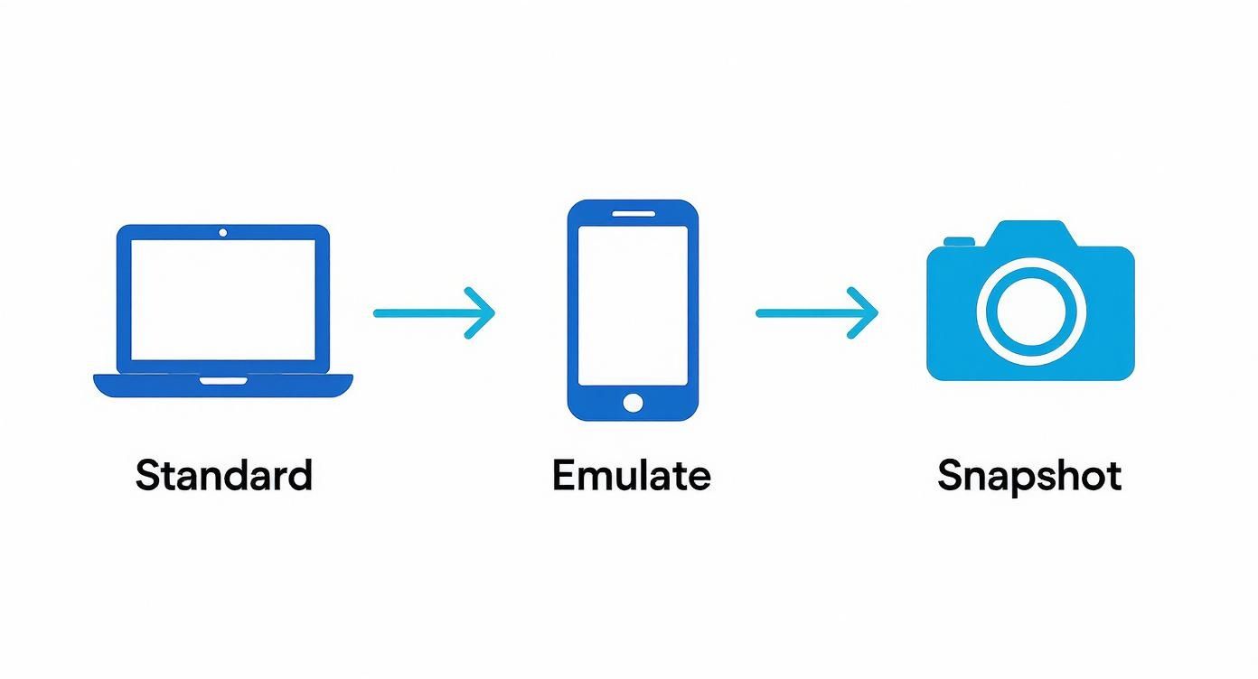 Infographic detailing the process of emulating a mobile view for a website snapshot, showing steps from standard view to emulation to final capture.