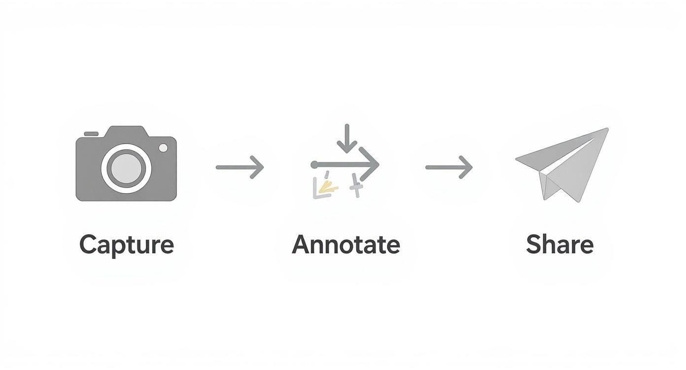 Infographic showing the three-step process of screenshot editing Capture, Annotate, and Share.