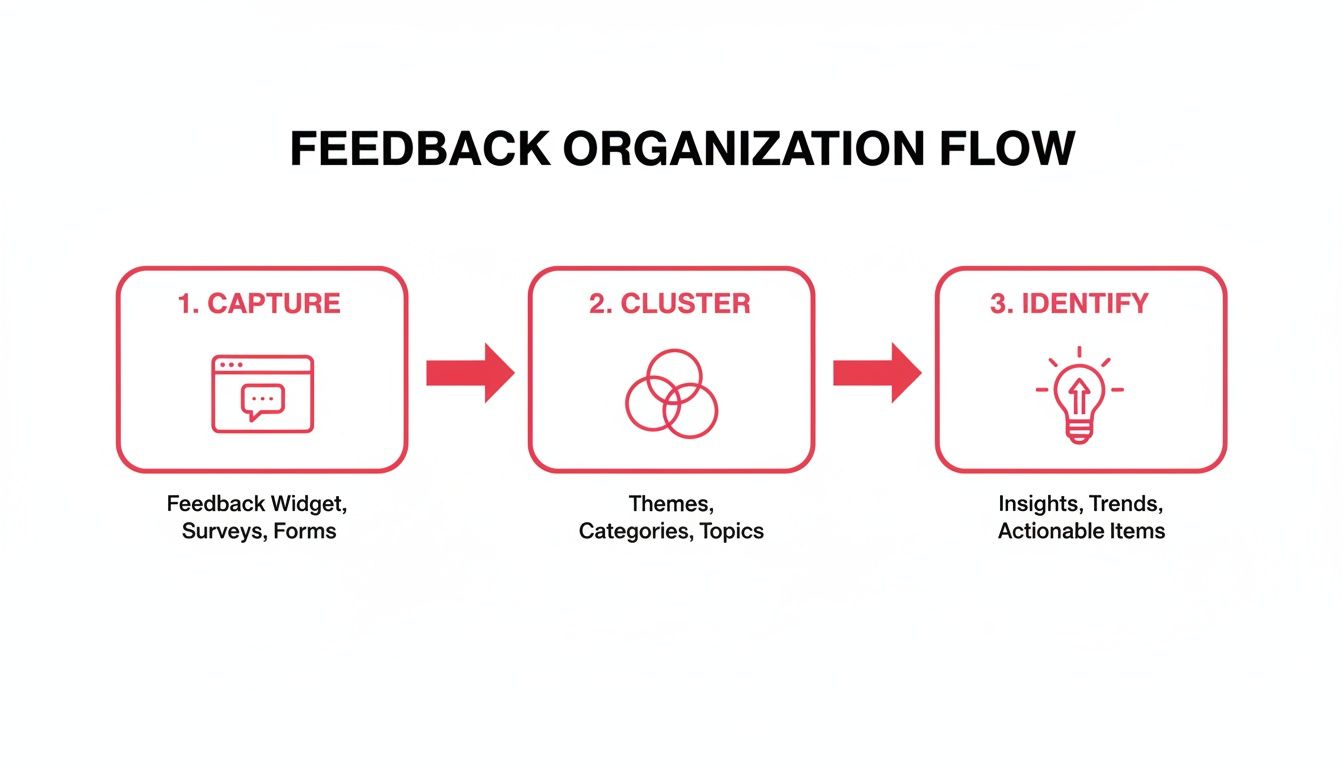 Flowchart illustrating a three-step feedback organization process: Capture, Cluster, and Identify.