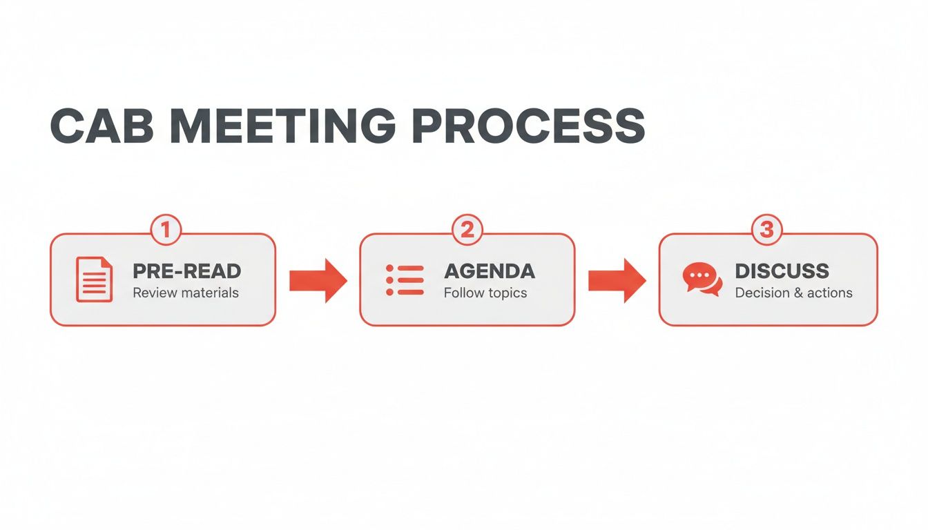 Flowchart detailing the three-step Customer Advisory Board (CAB) meeting process: pre-read, agenda, and discuss.