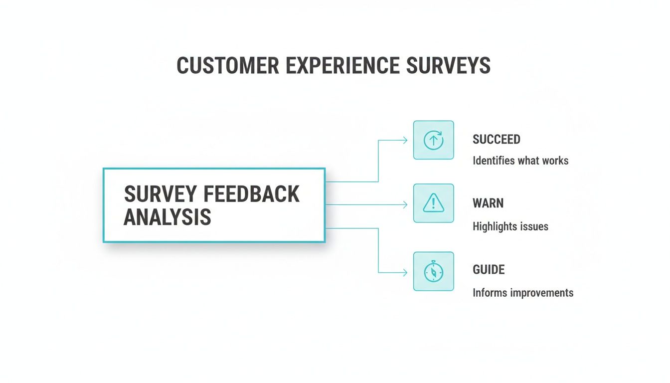 A diagram explaining customer experience surveys, showing survey feedback analysis leading to success, warnings, and guidance.