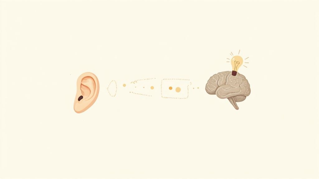 An ear, a path of dots, and a brain with a lightbulb, illustrating the listening and understanding process.