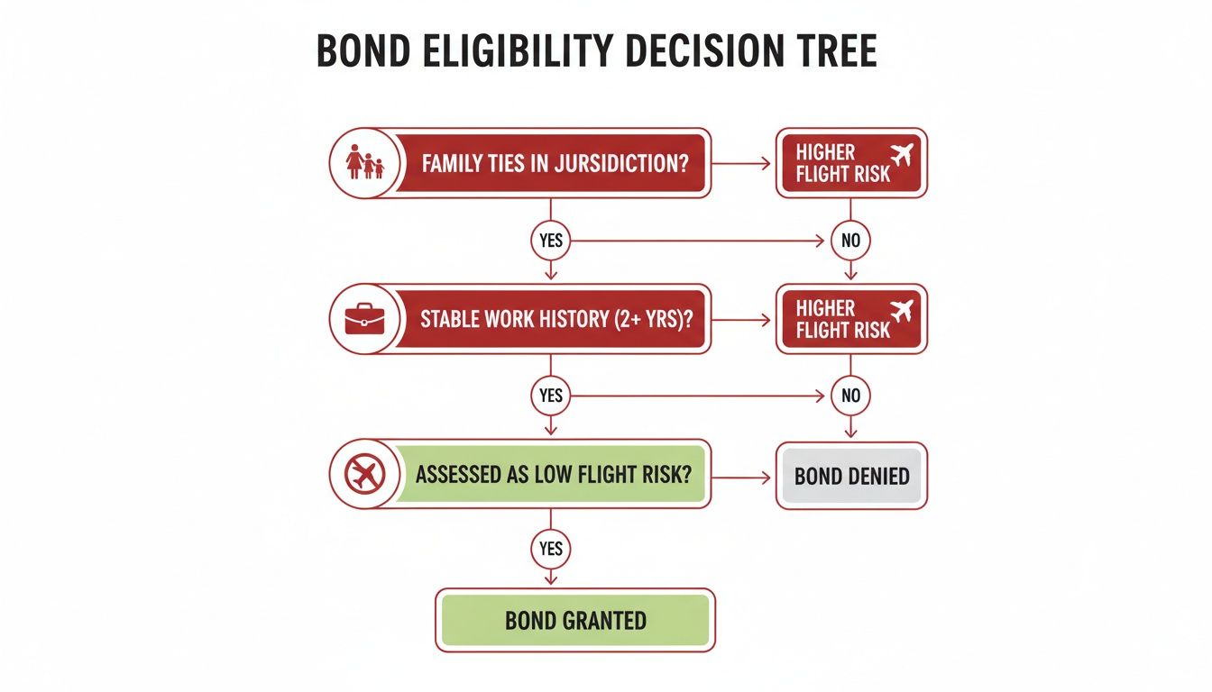 A bond eligibility decision tree flowchart outlining criteria like family ties, work history, and flight risk.