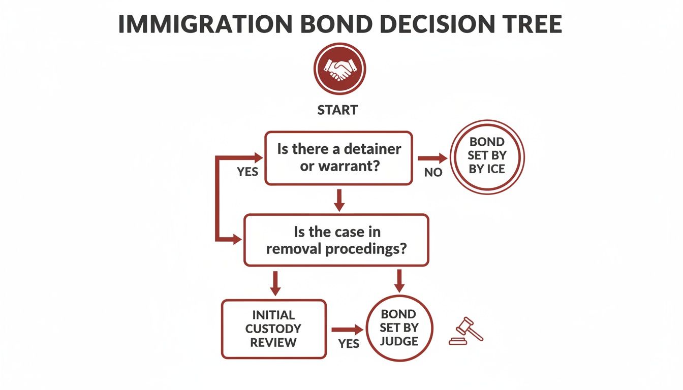 Flowchart illustrating the immigration bond decision tree process, detailing steps from detainers to bond setting.