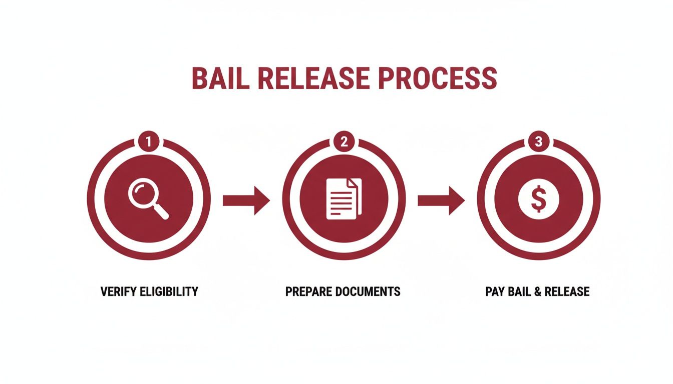 Infographic about how do you get someone out of jail