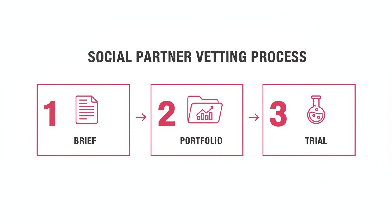 Visual flowchart illustrating a three-step social partner vetting process: Brief, Portfolio, and Trial.