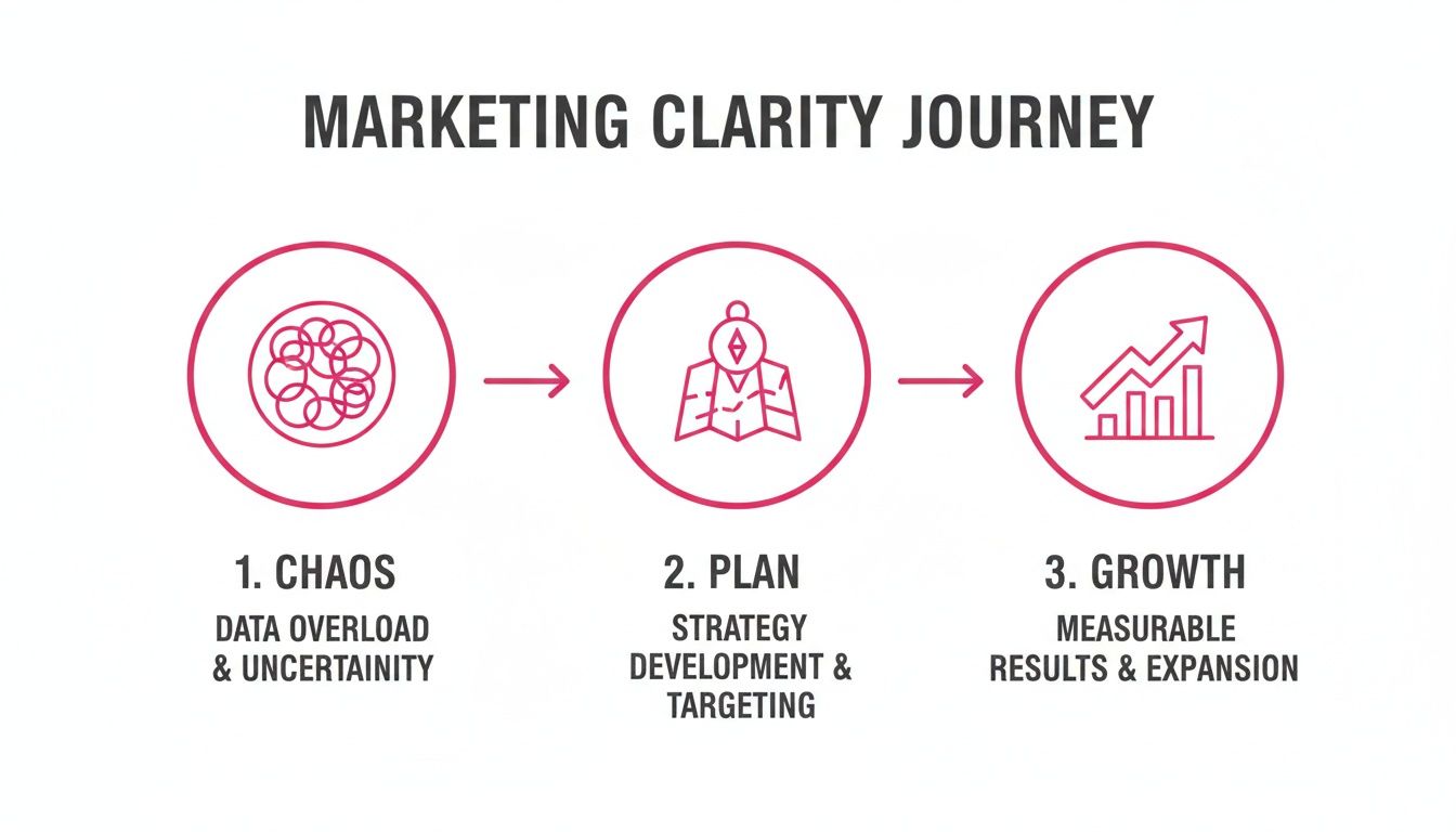 Marketing clarity journey infographic depicting steps from data chaos to strategic planning and measurable growth.