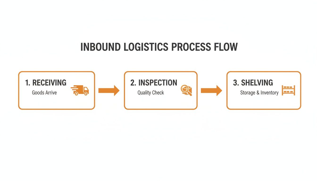 An infographic illustrating the inbound logistics process flow: receiving, inspection, and shelving steps.