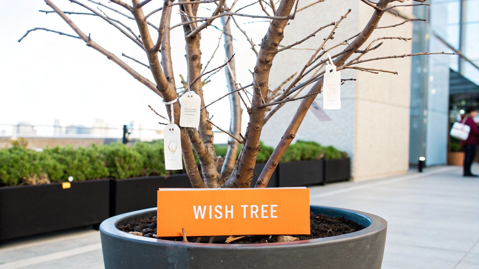 Wishing Tree with Hanging Tags