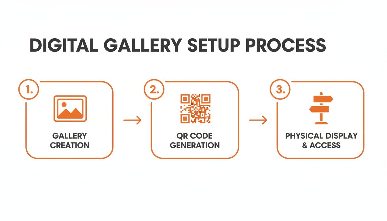 Infographic illustrating the 3-step digital gallery setup process: creation, QR code generation, and physical access.
