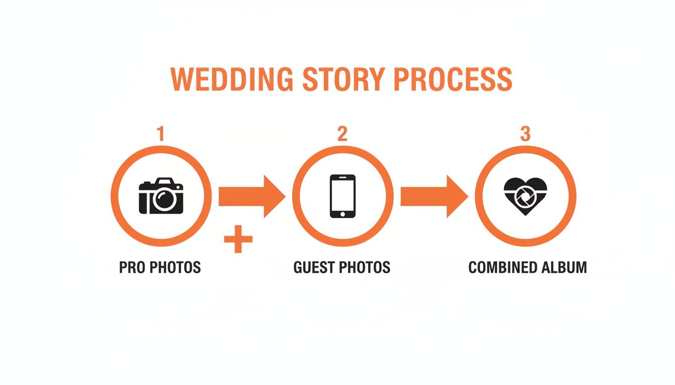 Infographic showing a three-step wedding photo process: pro photos + guest photos leading to a combined album.