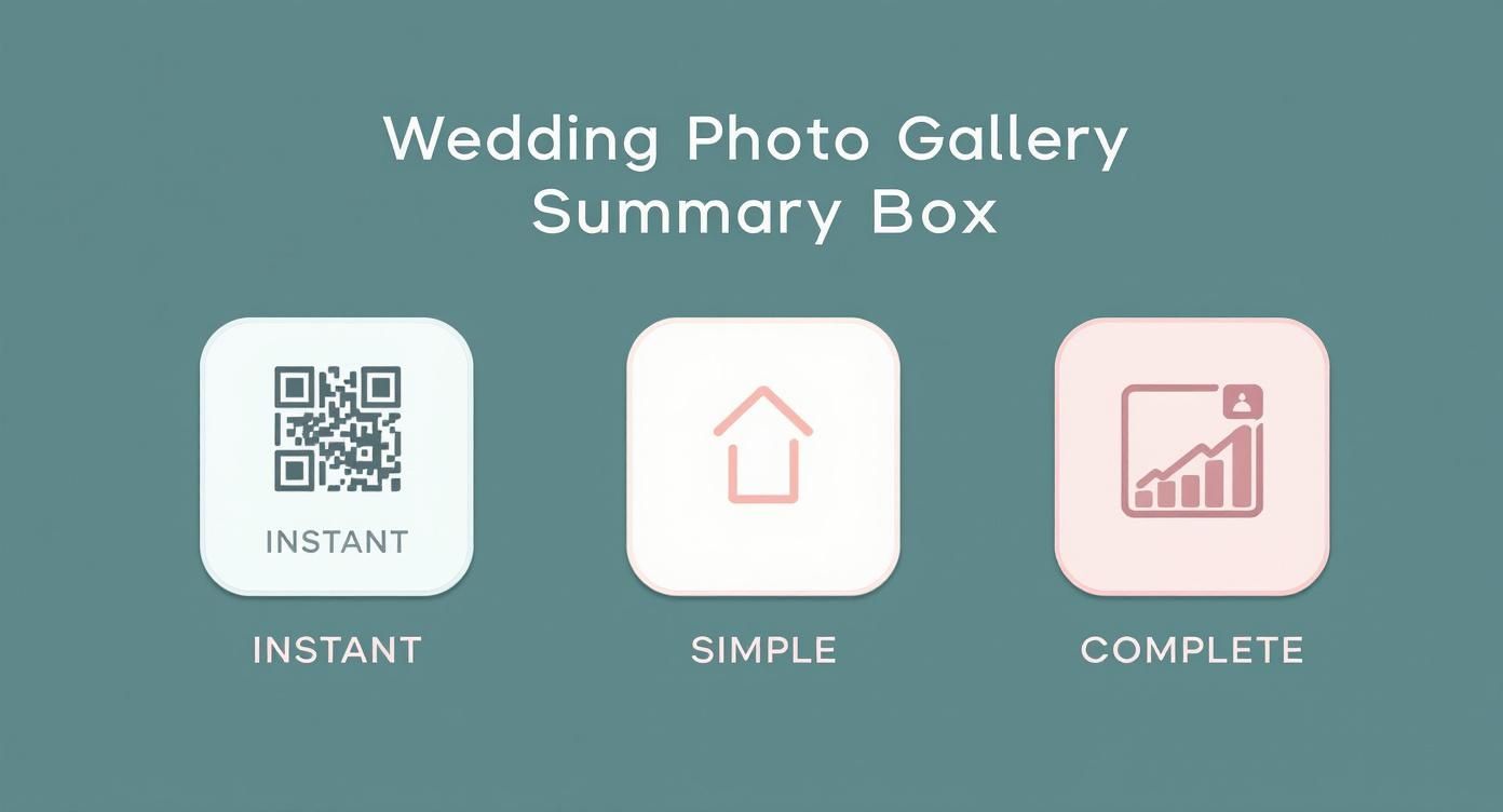 Infographic about photo wedding gallery