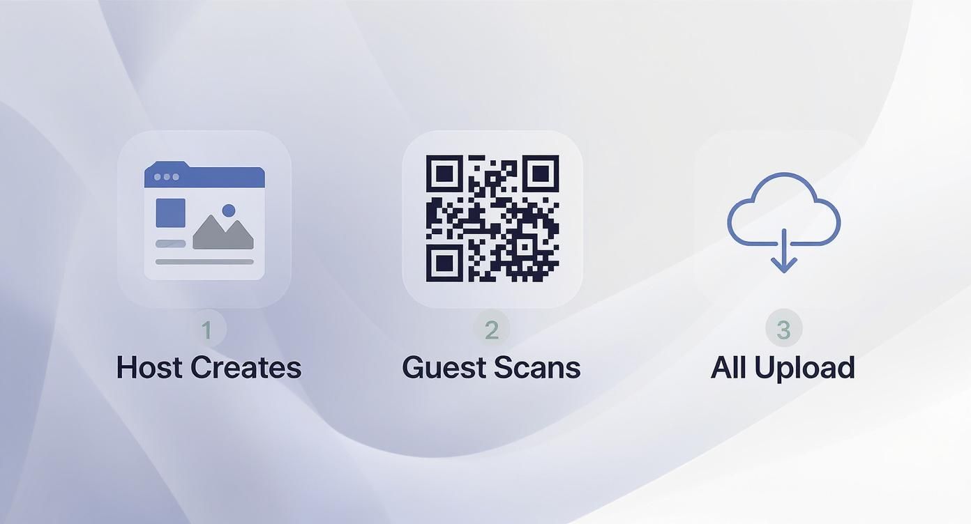 Infographic about best photo organization software