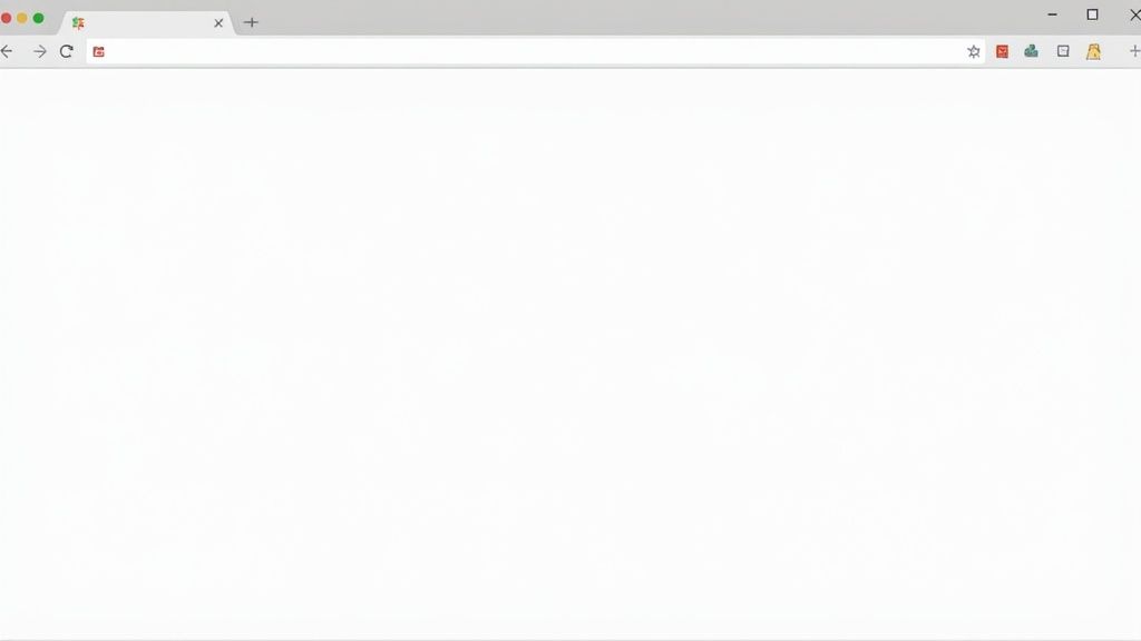 Empty web browser window showing blank page with standard navigation toolbar and buttons