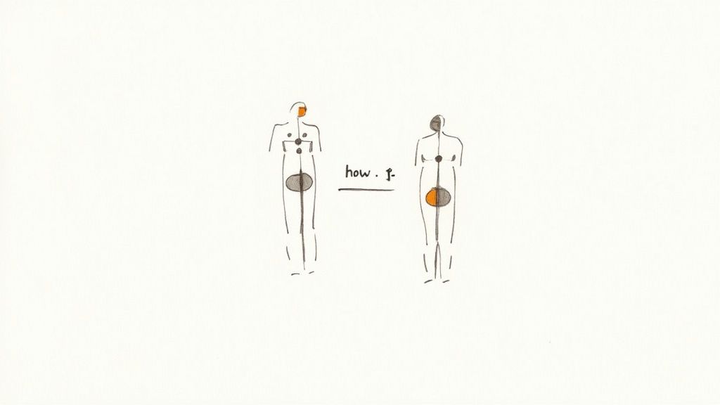 Two minimalist human figures with colored internal elements and text 'how', representing a concept.