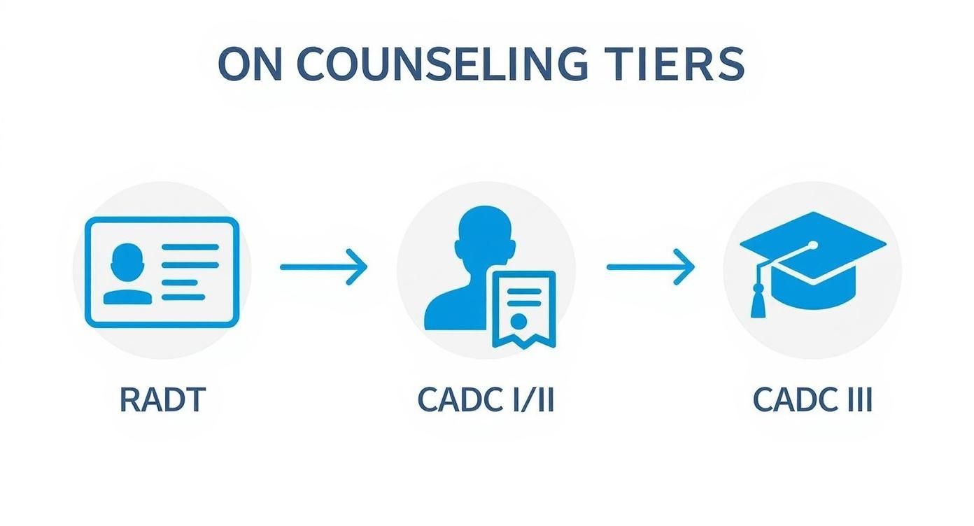 Infographic about substance abuse counseling certification