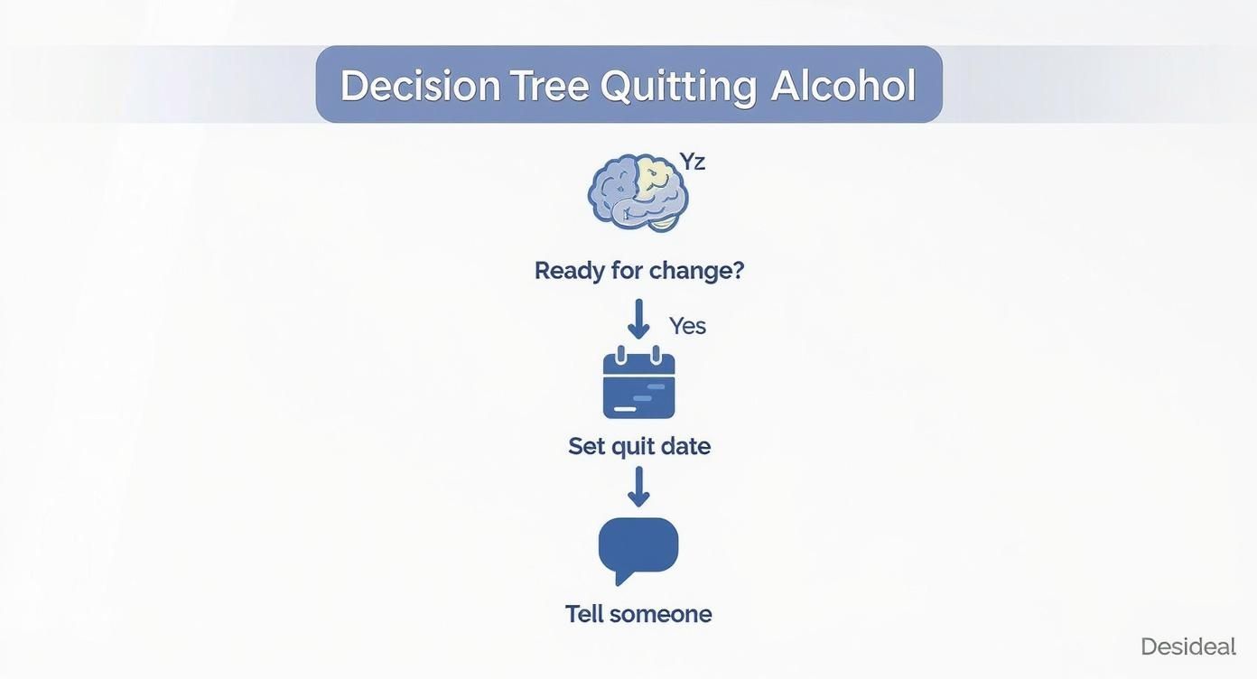 Infographic about how to quit alcohol drinking