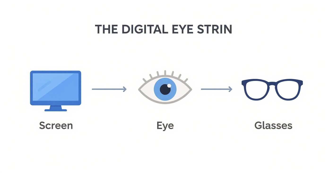 Infographic about anti reflective glasses computer