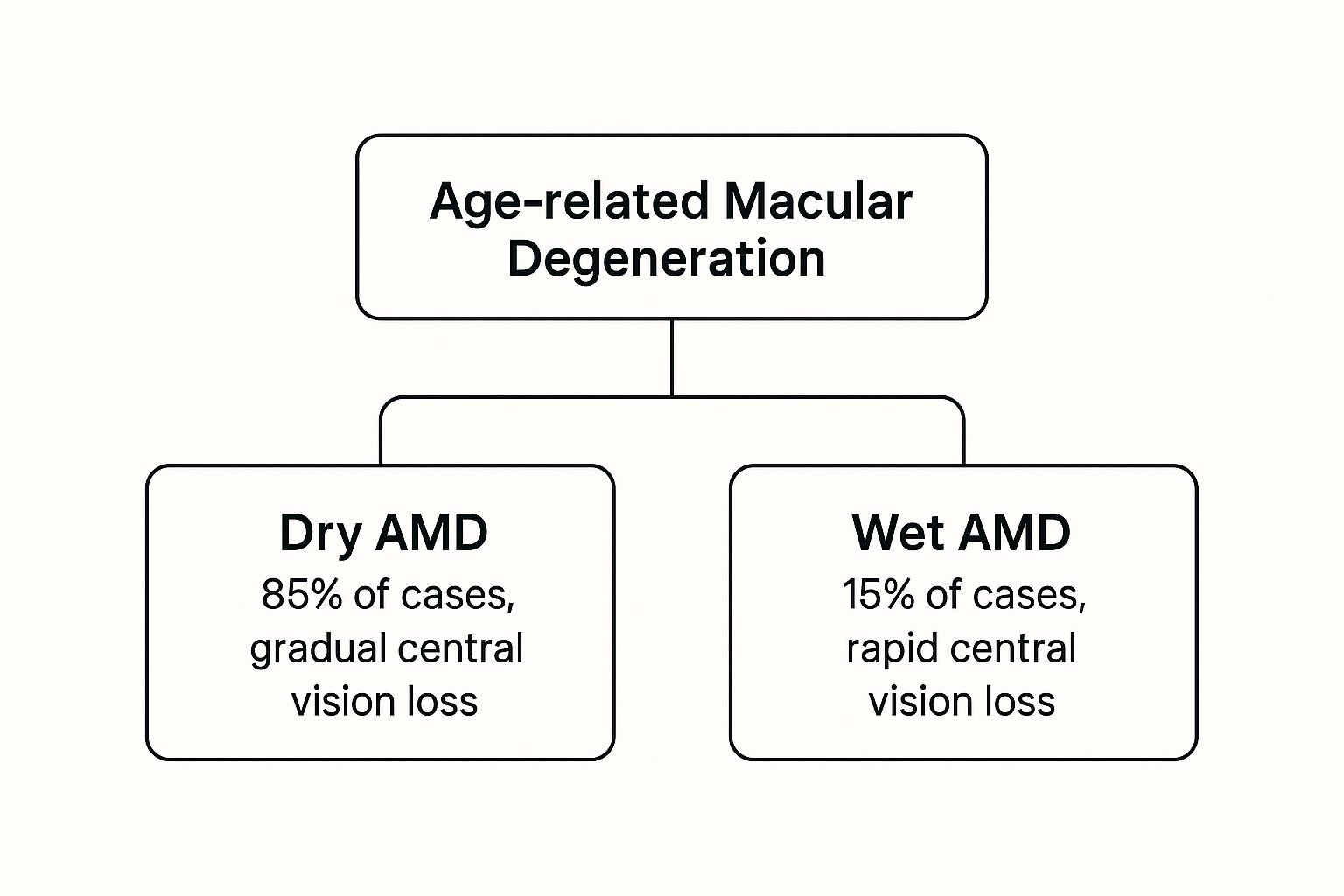 Infographic about what is macular degeneration
