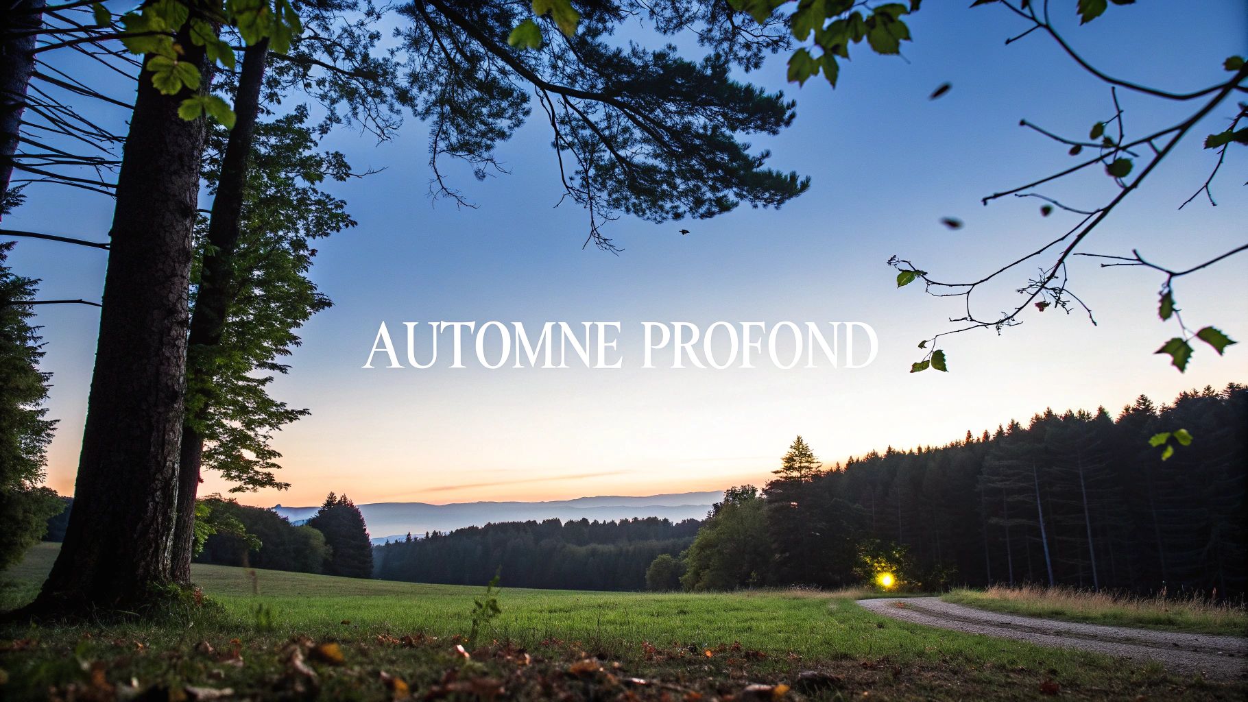 Automne Profond Colorimétrie : Guide Complet et Astuces