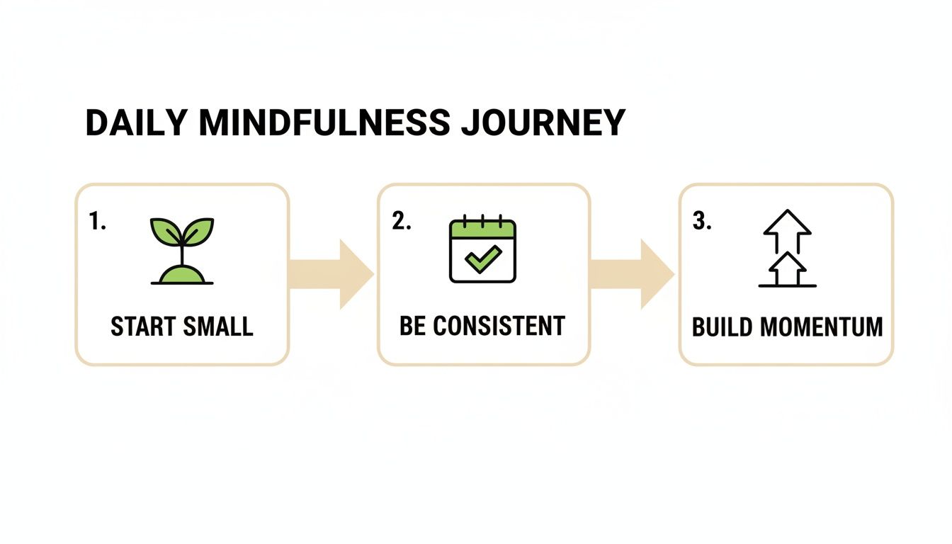 A graphic illustrating a three-step daily mindfulness journey: Start Small, Be Consistent, Build Momentum.