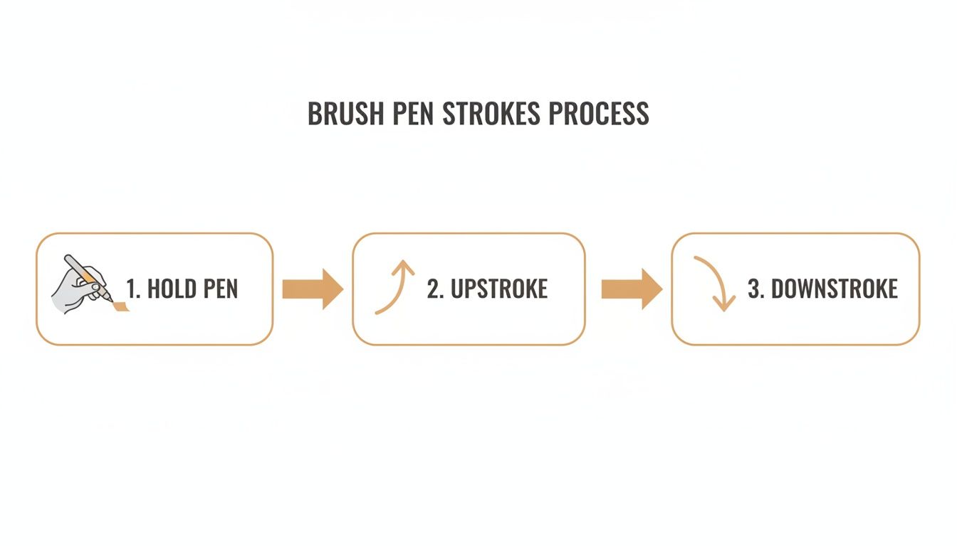 A three-step diagram illustrating the process of using brush pens: holding the pen, performing an upstroke, and then a downstroke.