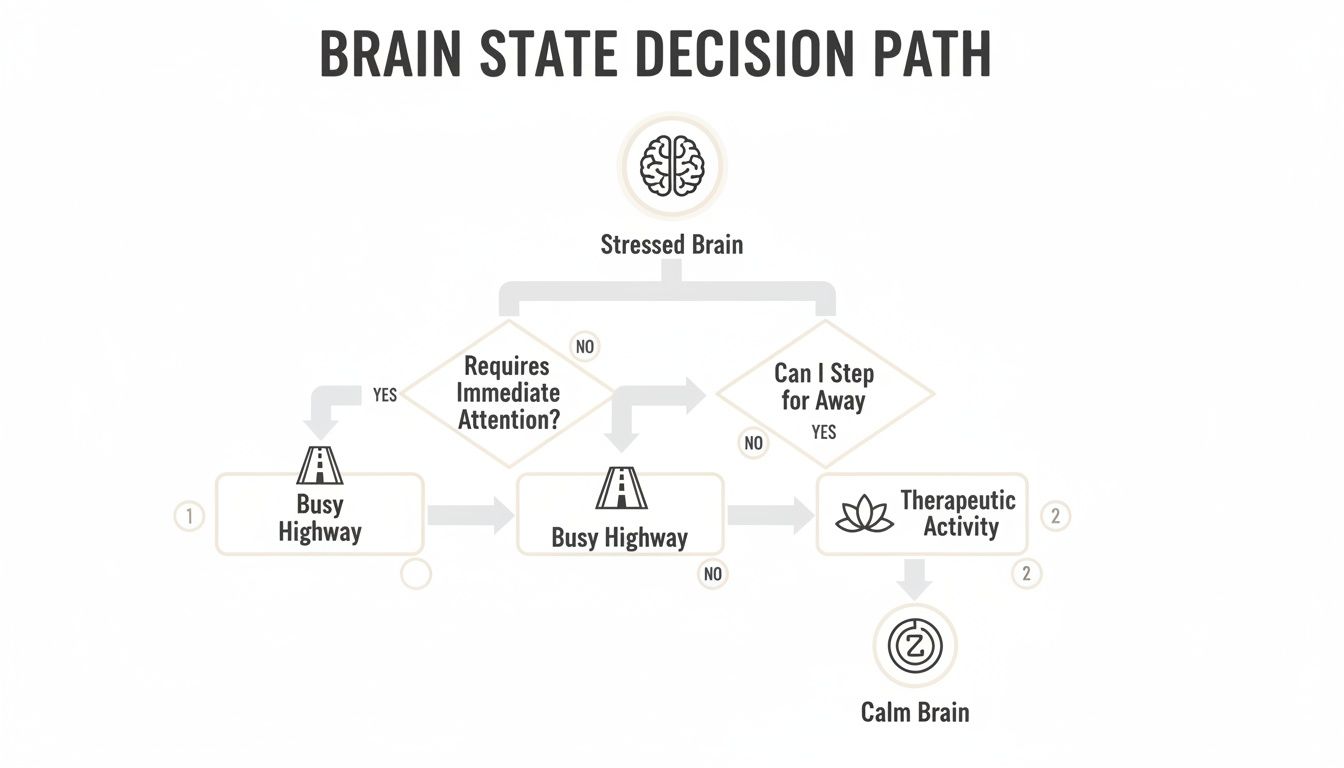 A flowchart illustrates a brain state decision path from stressed to calm, considering immediate attention and therapeutic activities.