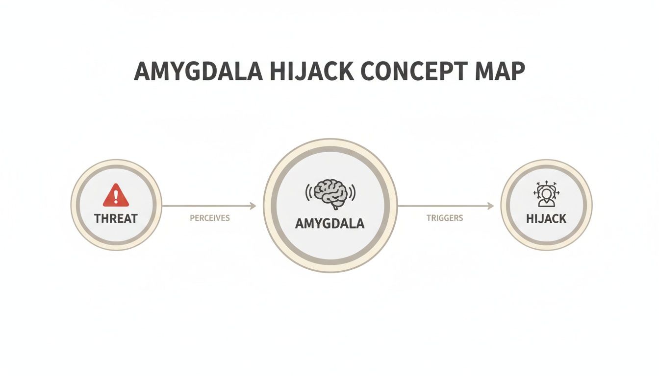 A concept map illustrating the amygdala hijack process, depicting a threat being perceived by the amygdala, which then triggers a hijack.