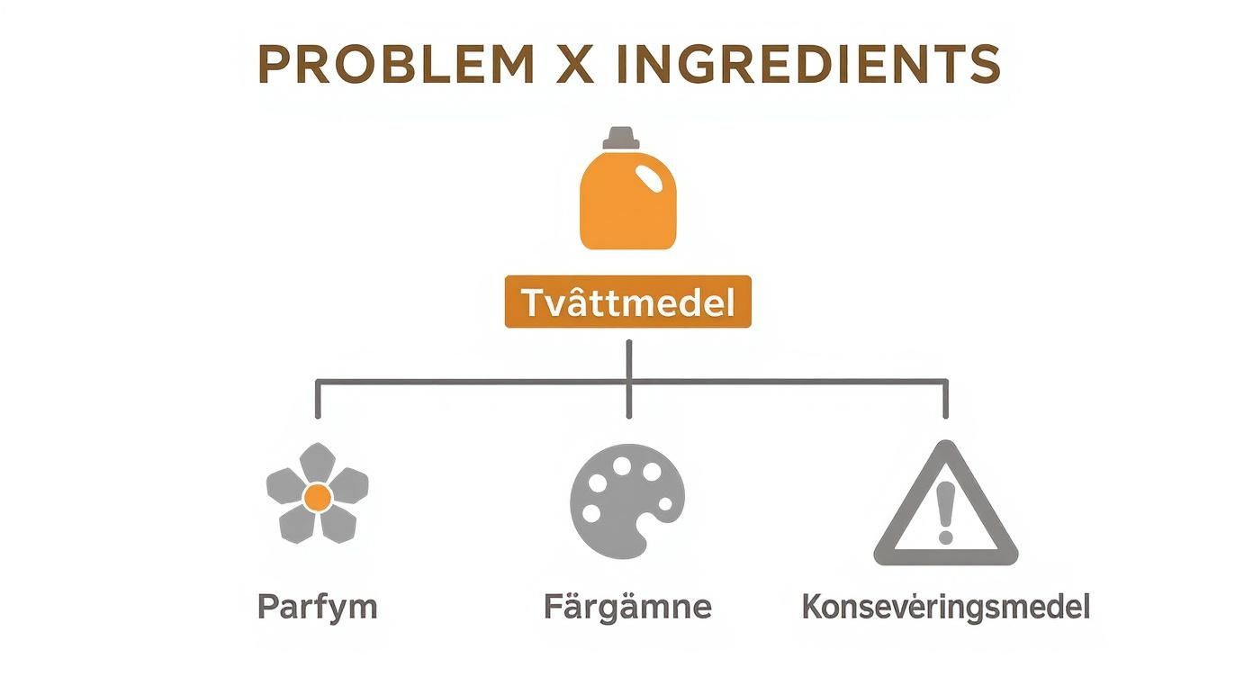 Infographic about tvättmedel för allergiker