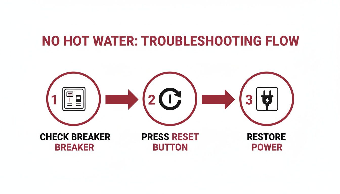 Troubleshooting Steps For No Hot Water, Including Checking The Breaker, Pressing Reset, And Restoring Power.