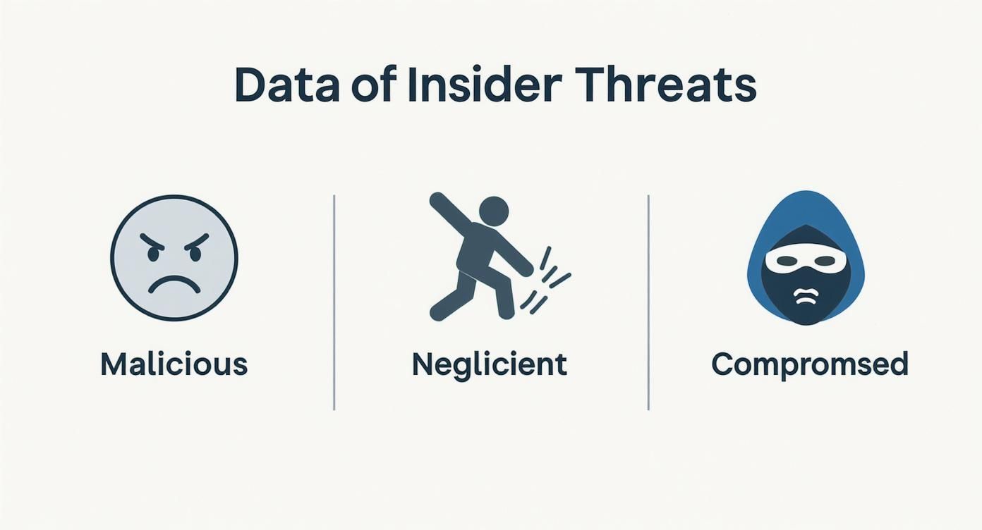 Equipo analizando estrategias de prevención de amenazas internas