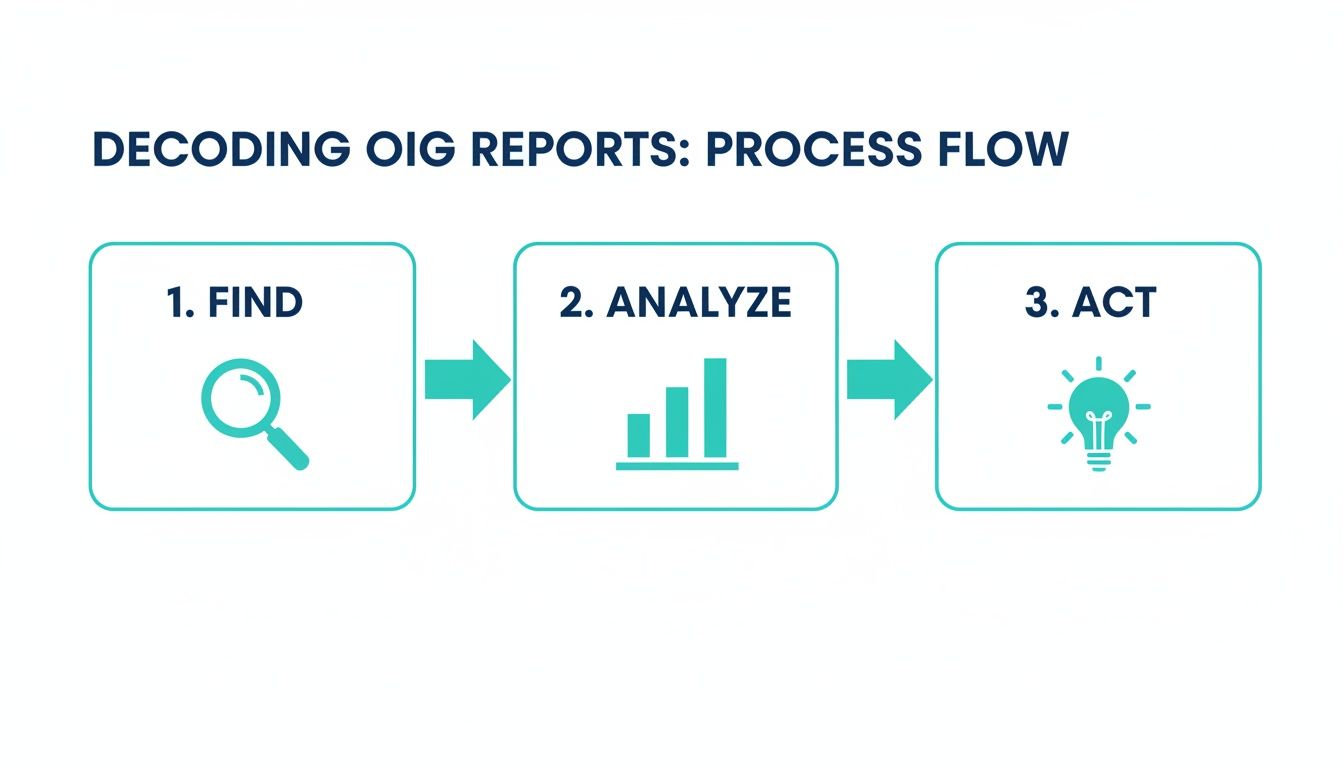 OIG audit and investigation workflow diagram