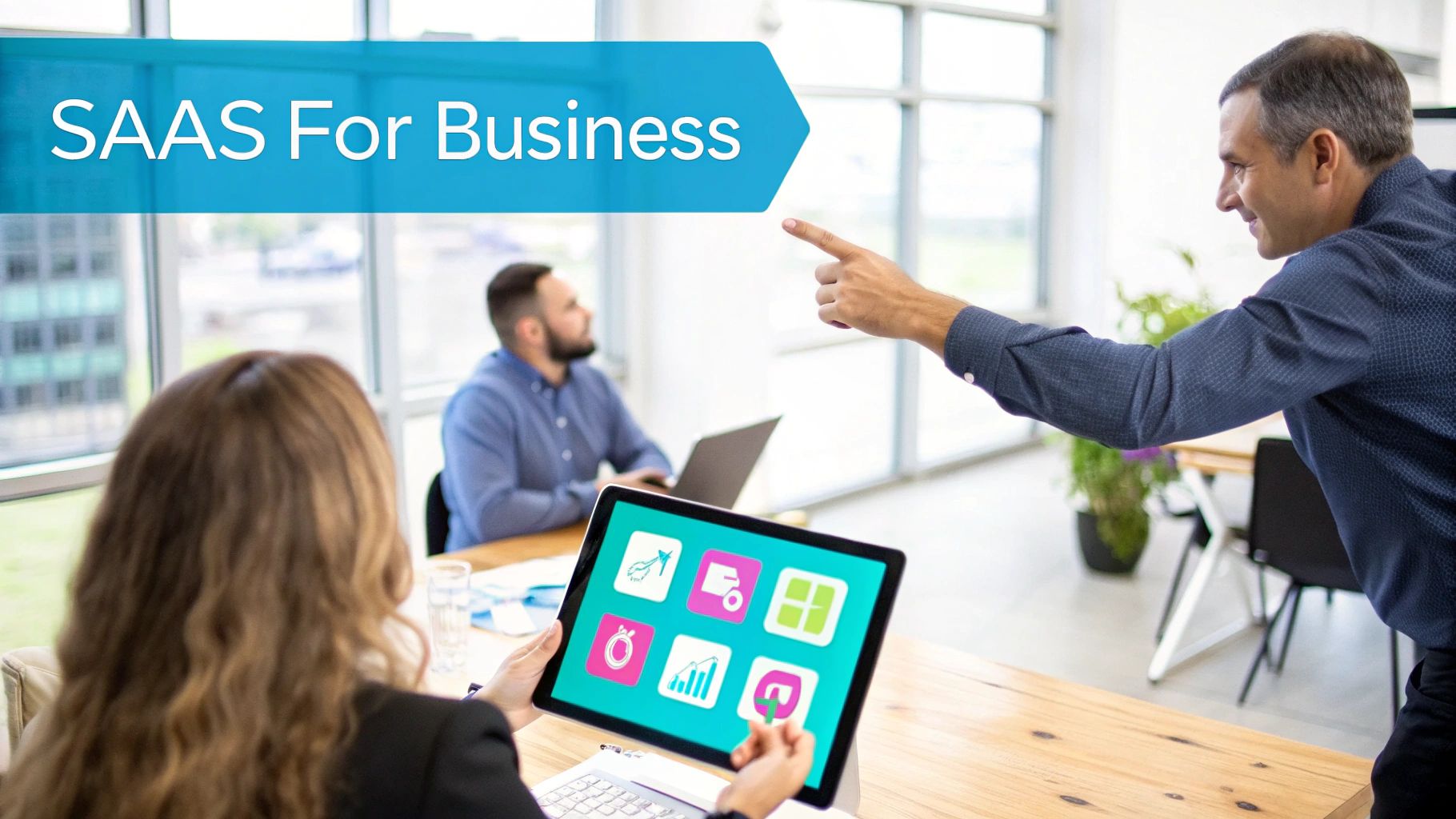 Diagram explaining the B2B SaaS model structure