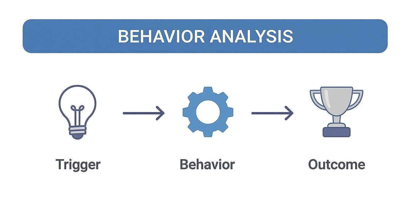 “Fluxograma mostrando a avaliação funcional de comportamento.”