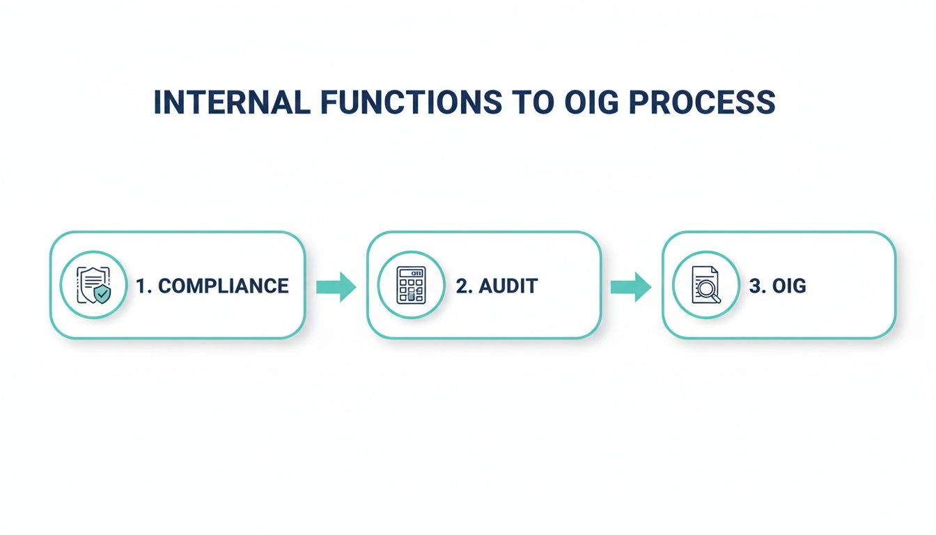 Office of Inspector General oversight audit report presentation