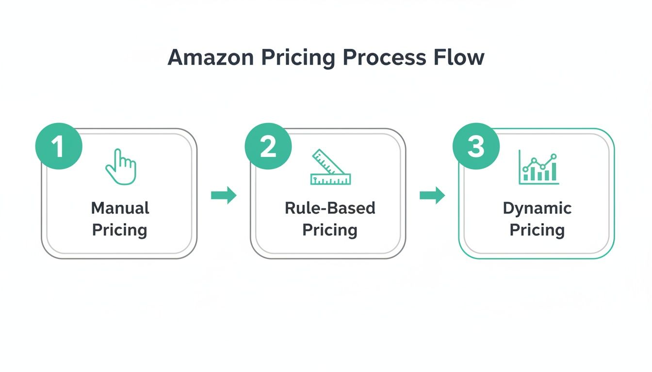 A diagram illustrating the Amazon pricing process flow, progressing through manual, rule-based, and dynamic strategies.