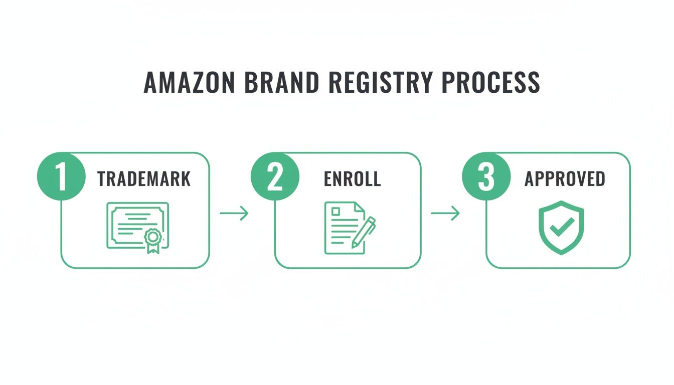 A diagram outlining the Amazon Brand Registry process in three steps: Trademark, Enroll, and Approved.
