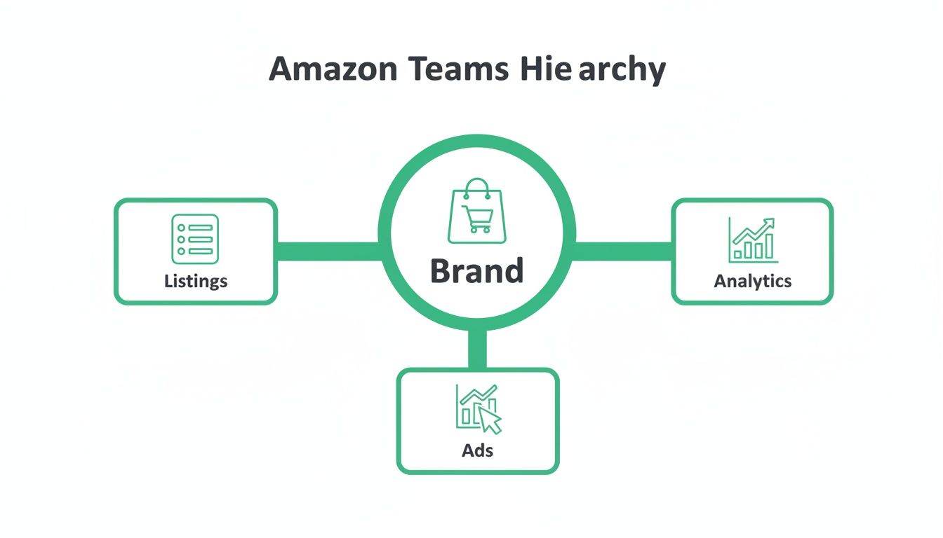 Diagram showing Amazon team hierarchy: Brand is central, connected to Listings, Analytics, and Ads.
