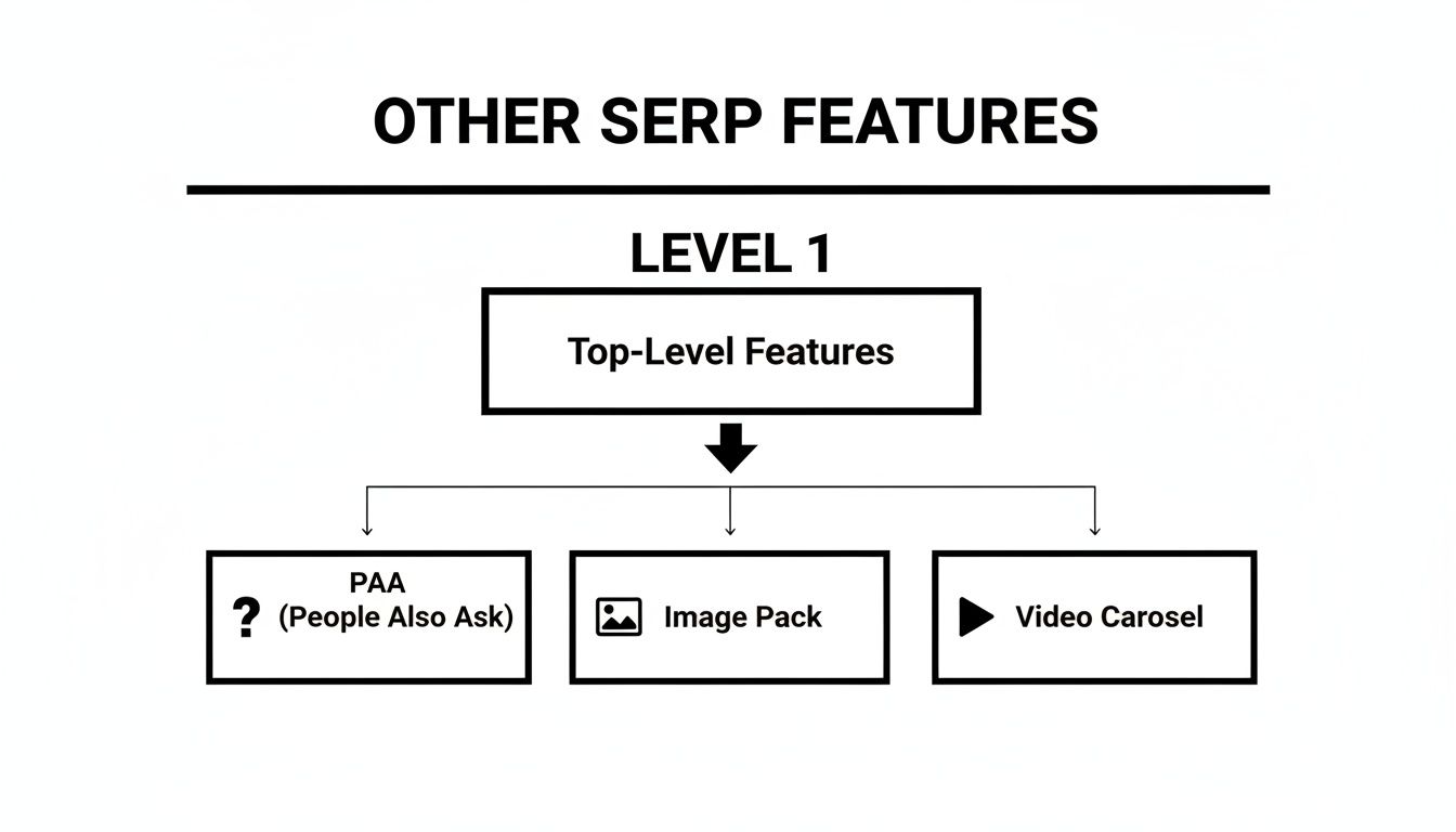 Flowchart showing Level 1 SERP features: People Also Ask, Image Pack, Video Carousel.