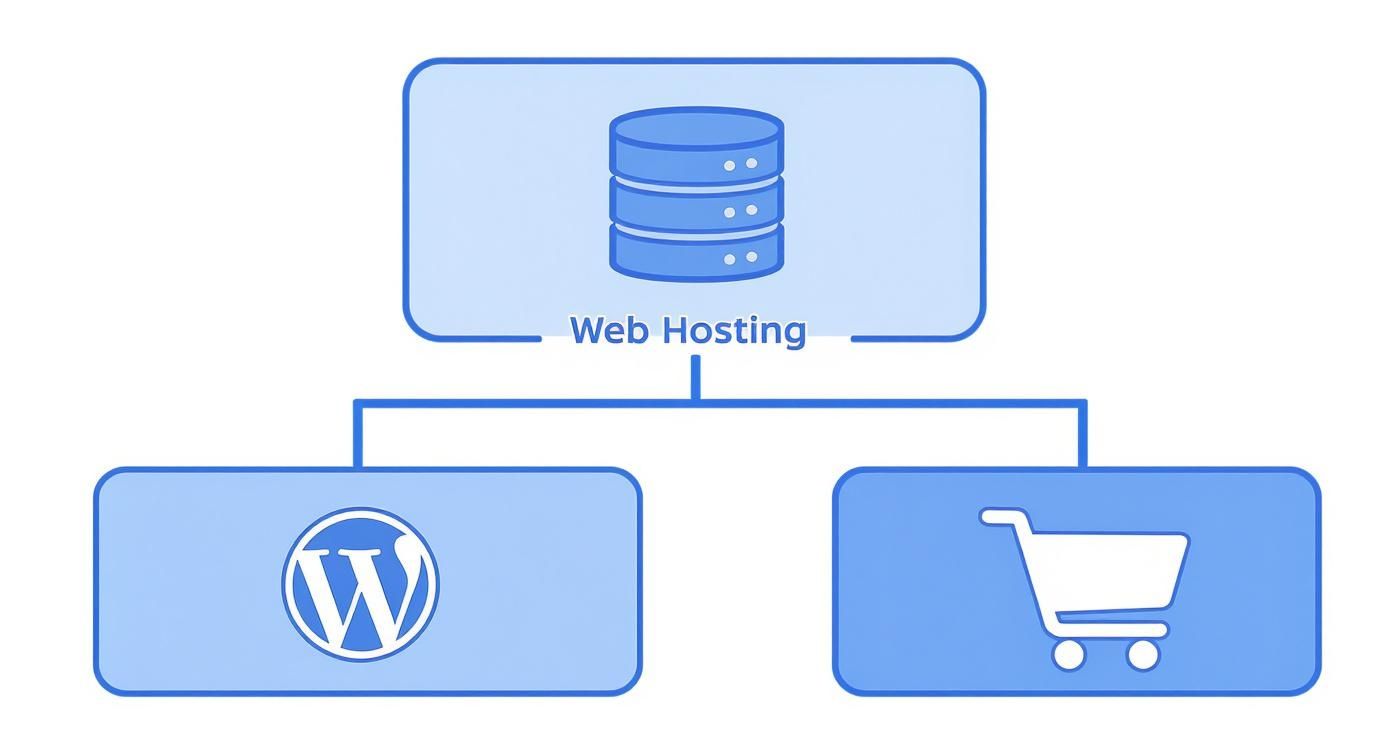 Infographic about what is wordpress hosting