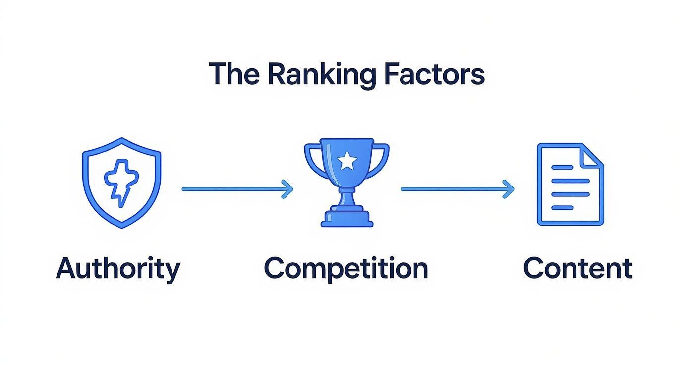 Infographic about how long does it take to rank on google
