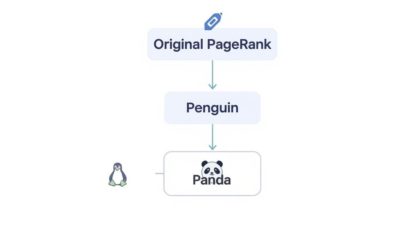 Infographic about what is page ranking
